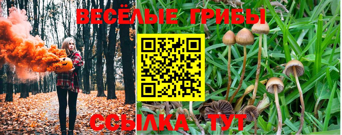 Шали  Галлюциногенные грибы Cubensis  магазин продажи наркотиков  Вход с VPN  Галлюциногенные грибы ЛСД 