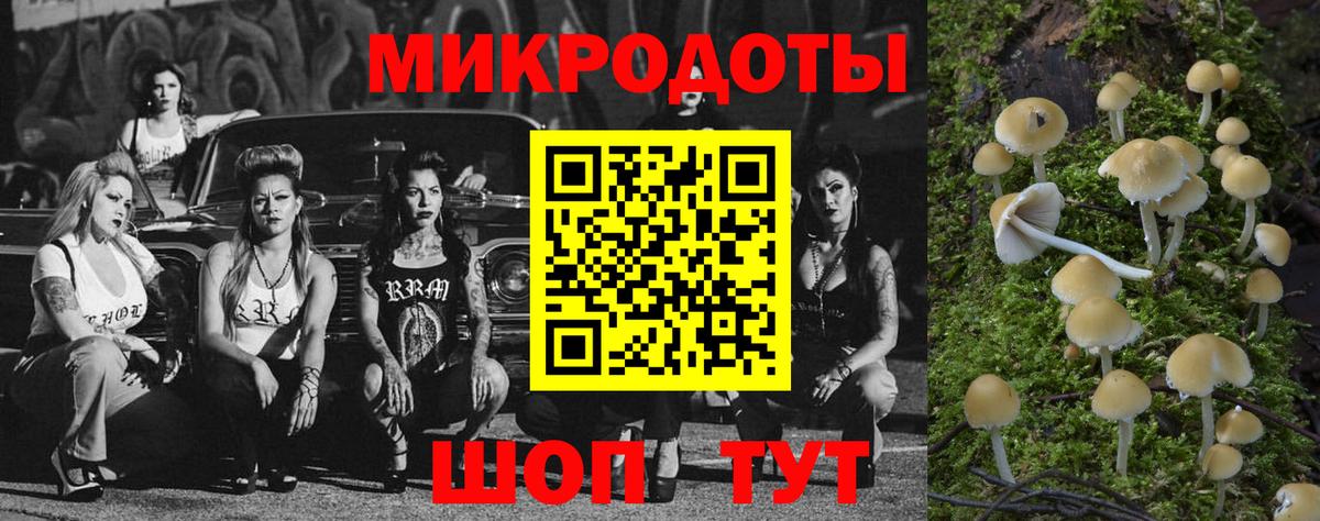 Псилоцибиновые грибы GOLDEN TEACHER Шали